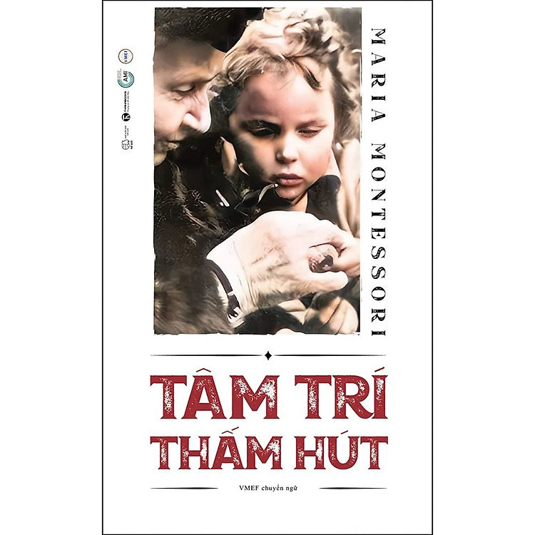 Tâm Trí Thấm Hút