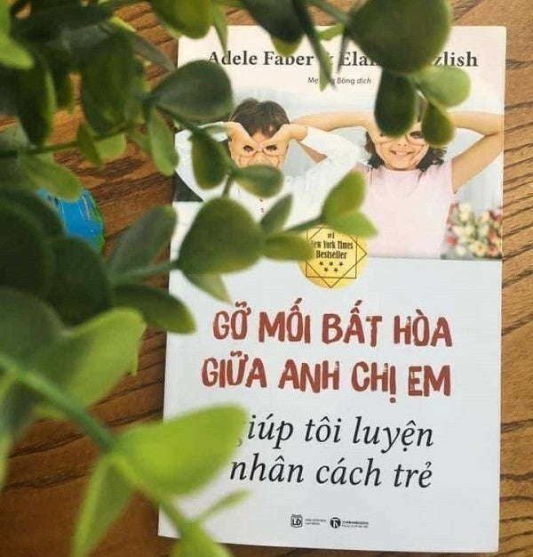 Gỡ Mối Bất Hòa Giữa Anh Chị Em Giúp Tôi Luyện Nhân Cách Trẻ